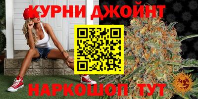 гашик Обнинск