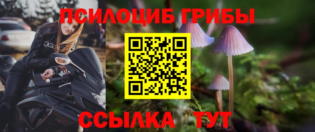 Псилоцибиновые грибы мицелий  Галлюциногенные грибы мухоморы  Сокол  Вход с VPN 